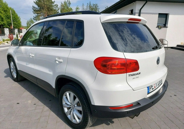 Volkswagen Tiguan cena 48900 przebieg: 202354, rok produkcji 2013 z Goleniów małe 92